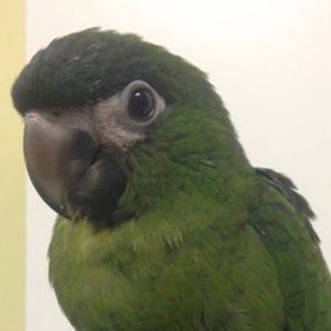 Meet your Posher, Jackie